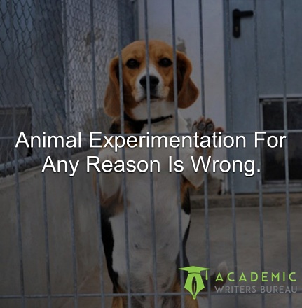 animal-experimentation-for-any-reason-is-wrong.
