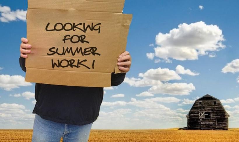 How to find a summer job 